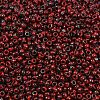 MIYUKI Round Rocailles Beads X-SEED-G008-RR4521-2
