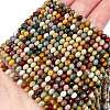 Natural Alashan Agate Beads Strands G-C127-B01-01-1