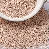 MIYUKI Round Rocailles Beads X-SEED-G009-RR2023-1