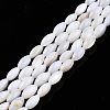 Natural Freshwater Shell Beads Strands SHEL-N026-212-A01-1