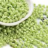 Baking Paint Glass Seed Beads SEED-A032-02F-1