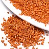 11/0 Grade A Baking Paint Glass Seed Beads SEED-S030-1028-1