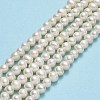 Natural Cultured Freshwater Pearl Beads Strands PEAR-F018-17A-01-2