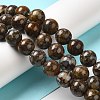 Natural African Opal Beads Strands G-H298-A11-05-2