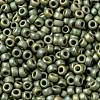 MIYUKI Round Rocailles Beads X-SEED-G008-RR2033-3