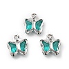 Glass Charms KK-R216-19P-01-1