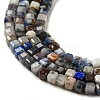 Natural Sodalite Beads Strands G-J400-A09-01-3