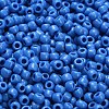 TOHO 6/0 Round Beads SEED-XTR06-0043D-4