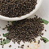 MIYUKI Delica Beads X-SEED-J020-DB0022-1