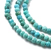 Natural HuBei Turquoise Beads Strands G-B130-A01-01-3