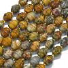 Natural Crazy Agate Beads Strands G-K389-D04-01-1