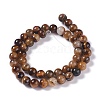 Natural Yellow Tiger Eye Beads Strands G-H238-8mm-3