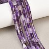 Natural Banded Amethyst Beads Strands G-F832-B04-01B-1