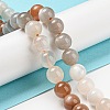 Natural Multi-Moonstone Beads Strands G-P503-10MM-04-3