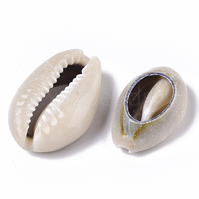 Natural Cowrie Shell Beads X-SSHEL-N034-33-1