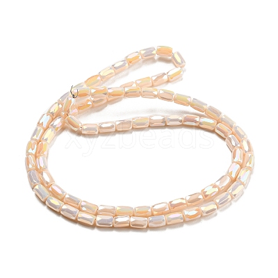 Glass Beads Strands EGLA-P052-03C-05-1
