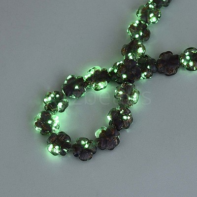 Luminous Handmade Gold Foil Glass Beads Strands FOIL-N029-01E-1