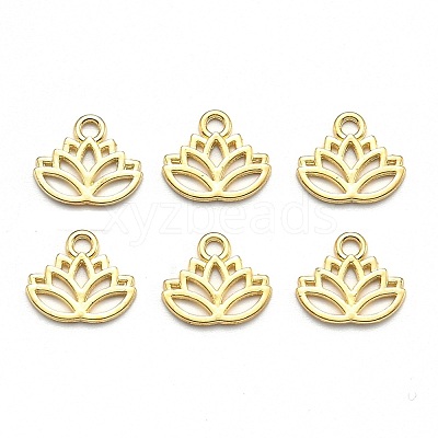 Tibetan Style Alloy Charms TIBEP-36884-G-RS-1