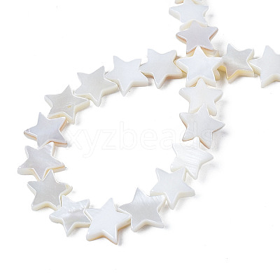 Natural Freshwater Shell Beads Strands X-SHEL-S278-01B-01-1