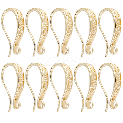10 Pairs Brass Earring Hooks KK-BBC0025-12B-1