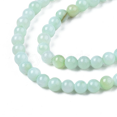 Natural Freshwater Shell Beads Strands X-BSHE-T009A-01D-1