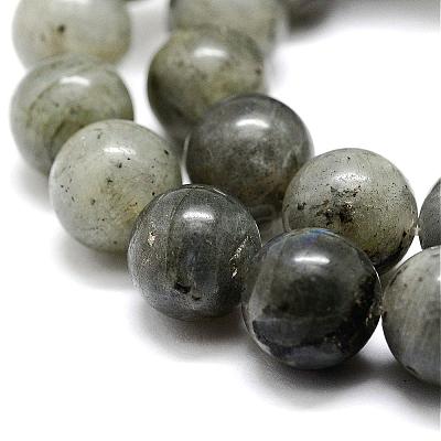 Natural Labradorite Bead Strands G-P256-01-8mm-1
