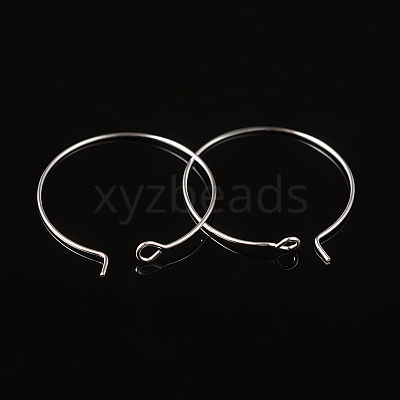 Silver Color Plated Brass Earring Hoops X-EC067-2S-1