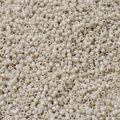 MIYUKI Delica Beads X-SEED-J020-DB0261-1