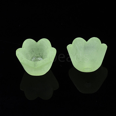 Transparent Acrylic Beads FACR-N005-001-1