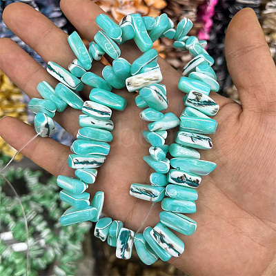 1 Strand Dyed Natural Trochus Shell Beads Strands SSHEL-PA0001-01D-1
