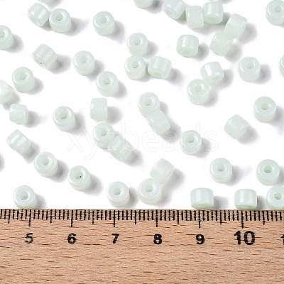 Opaque Baking Paint Glass Seed Beads SEED-T008-02M-1