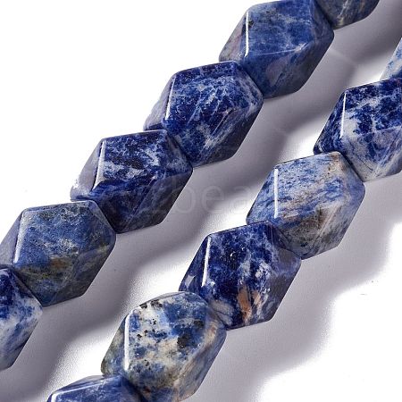 Natural Sodalite Beads Strands G-L235A-15-1