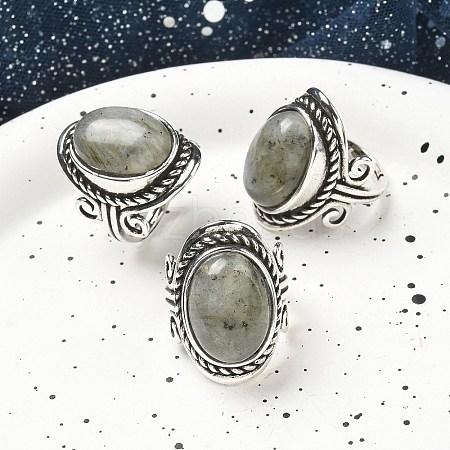 Natural Labradorite Adjustable Rings RJEW-I108-01AS-03-1