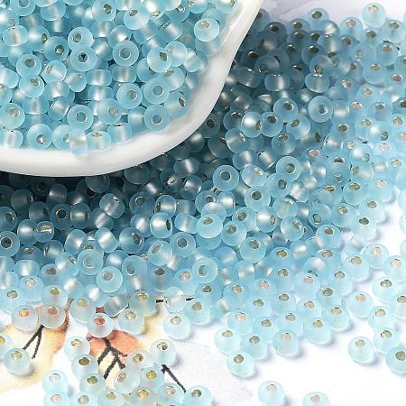 8/0 Glass Seed Beads SEED-Z001-C-E03-1