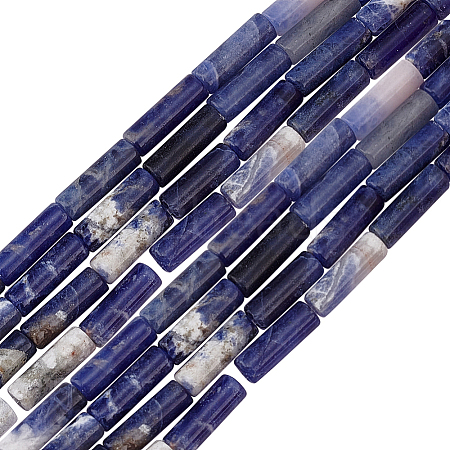 Olycraft 2 Strands Natural Sodalite Beads Strands G-OC0004-74-1