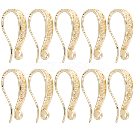 10 Pairs Brass Earring Hooks KK-BBC0025-12B-1