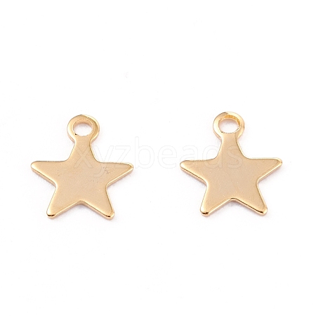 201 Stainless Steel Charms STAS-B001-14A-G-1