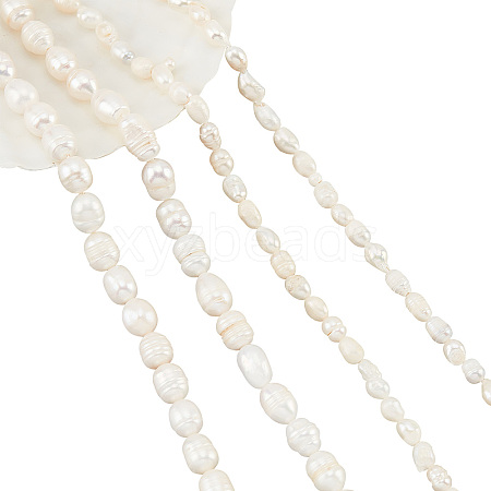  4Strands 2 Styles Natural Cultured Freshwater Pearl Beads Strands PEAR-NB0001-64-1