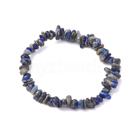 Natural Lapis Lazuli Chip Beaded Stretch Bracelets for Women Men BJEW-JB10652-03-1
