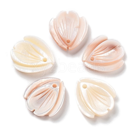 Natural Freshwater Shell Pendants SHEL-D082-04A-1