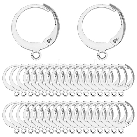 SUNNYCLUE 80Pcs 304 Stainless Steel Leverback Earring Findings STAS-SC0004-59P-1