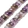 Natural Amethyst Beads Strands G-Q167-B12-01-1