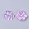 Translucent Resin Charms X-RESI-T040-033-2