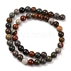 Natural Picture Jasper Beads Strands G-H037-A01-02-3