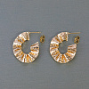 Stylish Brass Stud Earrings AK1364-2