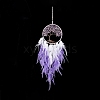 Iron Woven Web/Net with Feather Pendant Decorations AJEW-B017-06-4