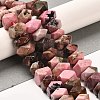 Natural Rhodonite Beads Strands G-N327-05-20-2