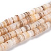 Natural Shell Beads BSHE-B003-13A-01-1