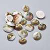 Natural Sea Shell Cabochons SSHEL-K026-03B-1