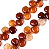 Natural Red Agate Beads Strands G-T138-123-1